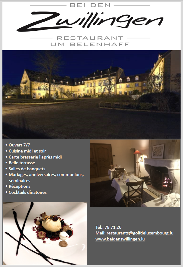 zwillinge_homepage